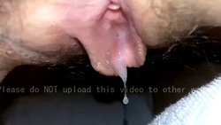 41.jpeg